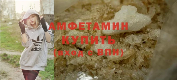индика Алапаевск